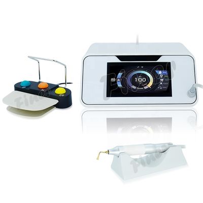 peso ligero dental de la unidad de Handpiece de la velocidad del tiburón de la oficina de 1.6m m de poco ruido