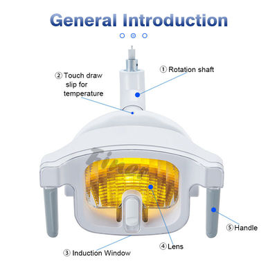dispositivo dental AC/DC 12-24V de la iluminación de la luz LED de la silla 12W 1 pedazo