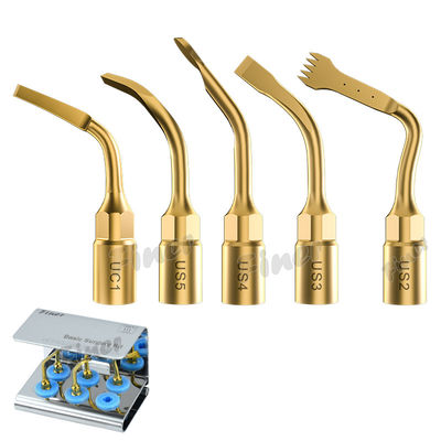 25KHz Piezo cirugía ósea Consejos para el seno levantamiento extracción de dientes cirugía periodontal