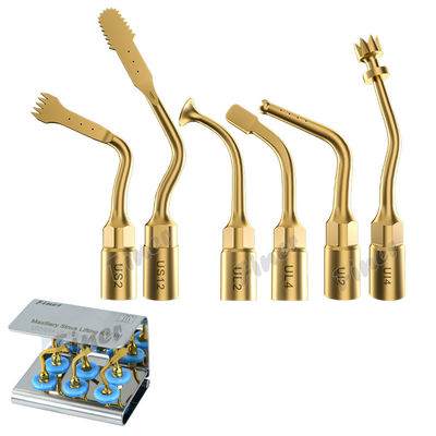 25KHz Piezo cirugía ósea Consejos para el seno levantamiento extracción de dientes cirugía periodontal
