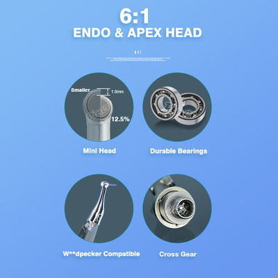 Dental 6 a 1 Cabeza endodóntica 6:1 Reducción contra ángulo Dental Endomotor pieza de repuesto