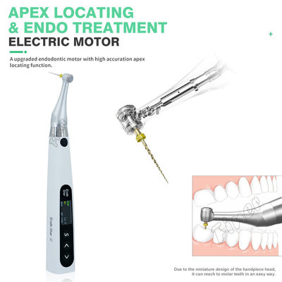 Endomotor 6: 1 con motor eléctrico Apex para el tratamiento dental Endomotor